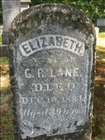 Lane, Elizabeth